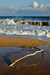 427. 11.02.2006. Вечер. Золотой пляж на востоке  от города Ф.jpg
