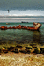 276. 26.02.2005. День. Вид на Феодосийский залив с берега ст.jpg
