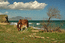 374. 20.04.2005. День. Вид на Карадаг с берега в районе Солн.jpg